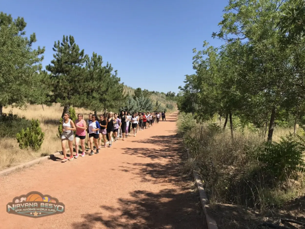 Besyo Mezunlarının Çalışma Alanları